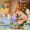 クリスマス、窓辺の花