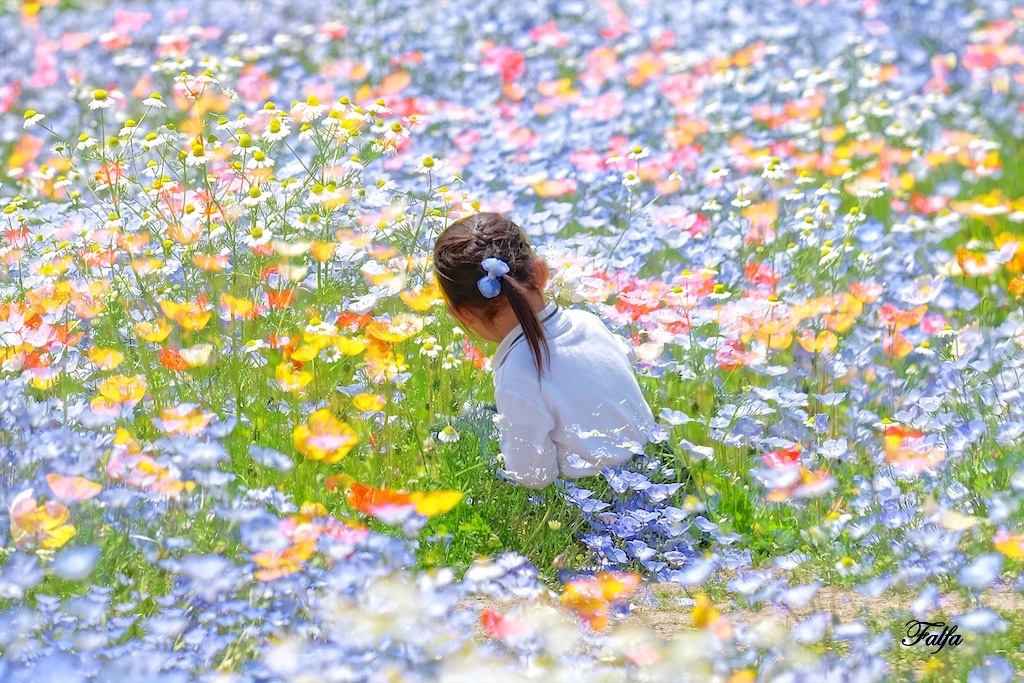  花の中の少女