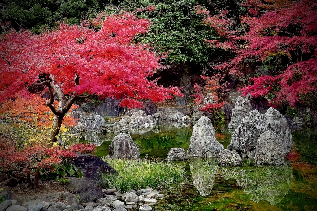 紅葉と岩のある光景