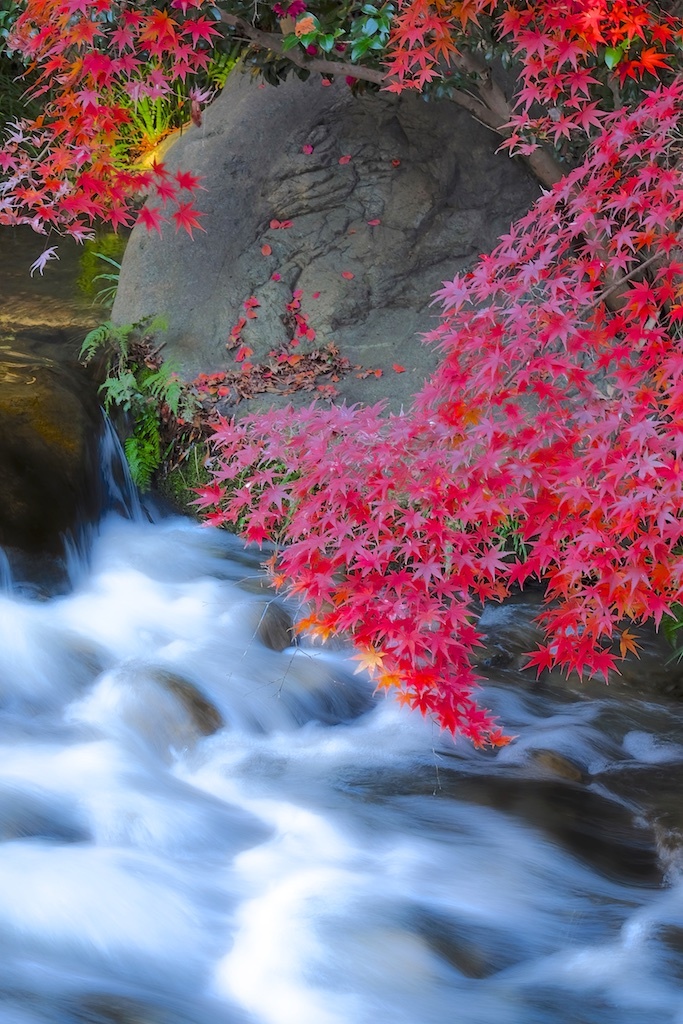 紅き流れ