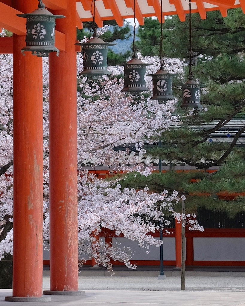 朱色の春