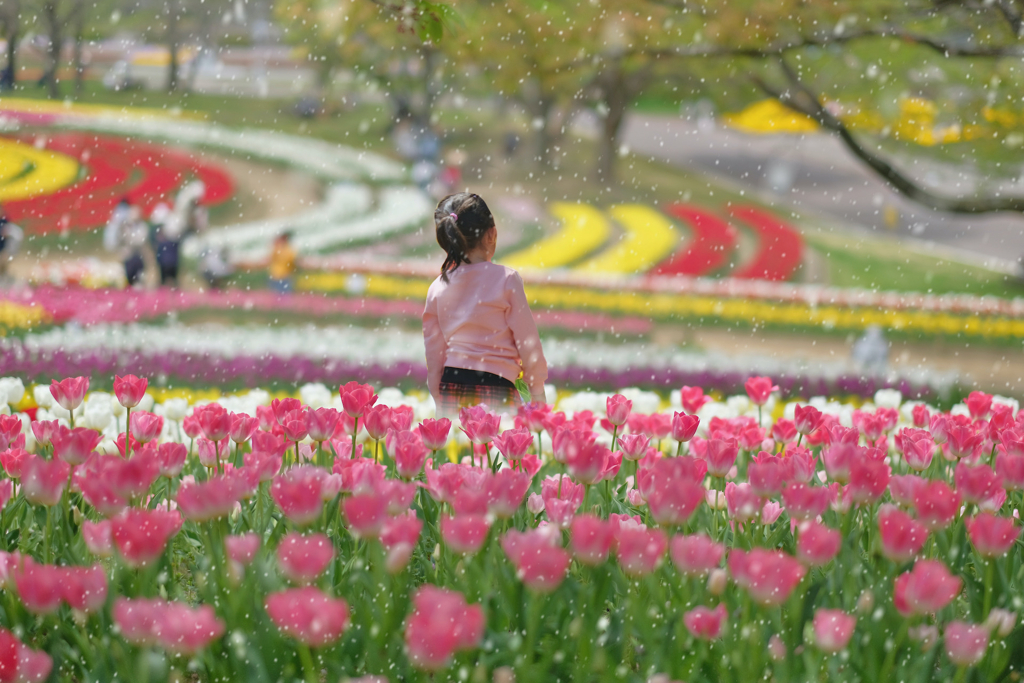 花香る季節