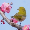 ちょっと失礼。。