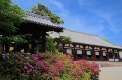 つつじのある風景　〜唐招提寺