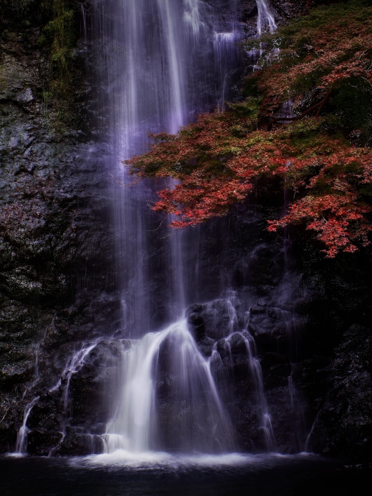 晩秋の滝にて