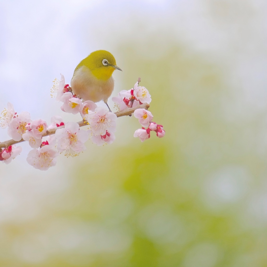 春風に吹かれて