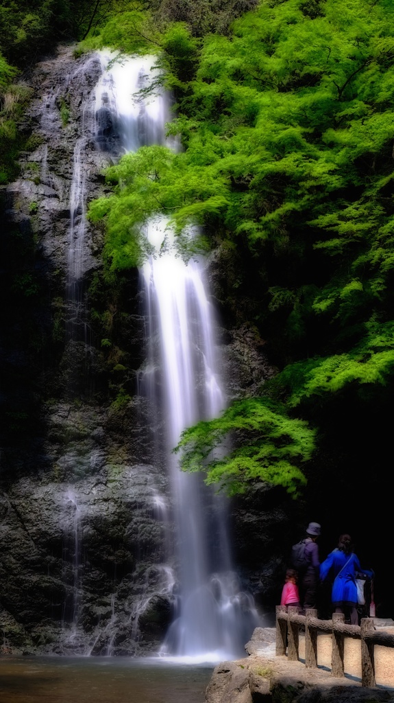若葉の箕面の滝