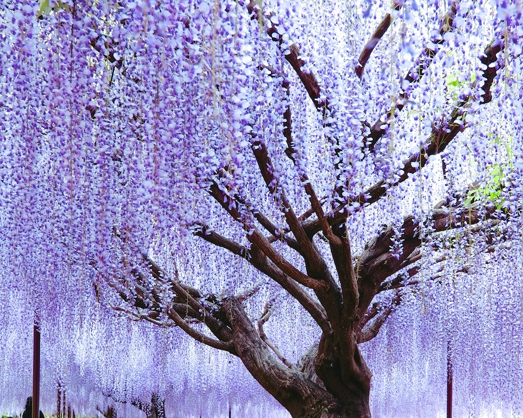 激しい雨が降る