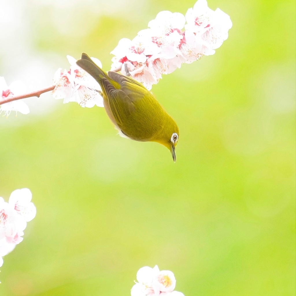 次はあそこまで。。