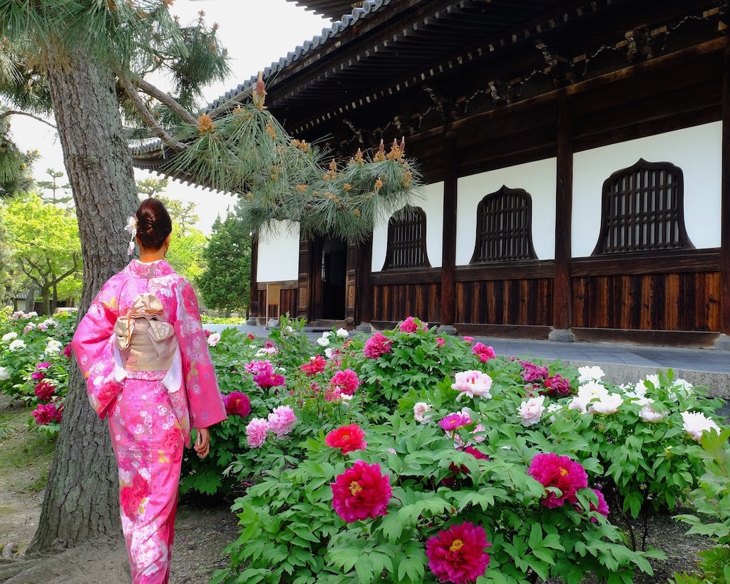 牡丹の花咲く頃。。