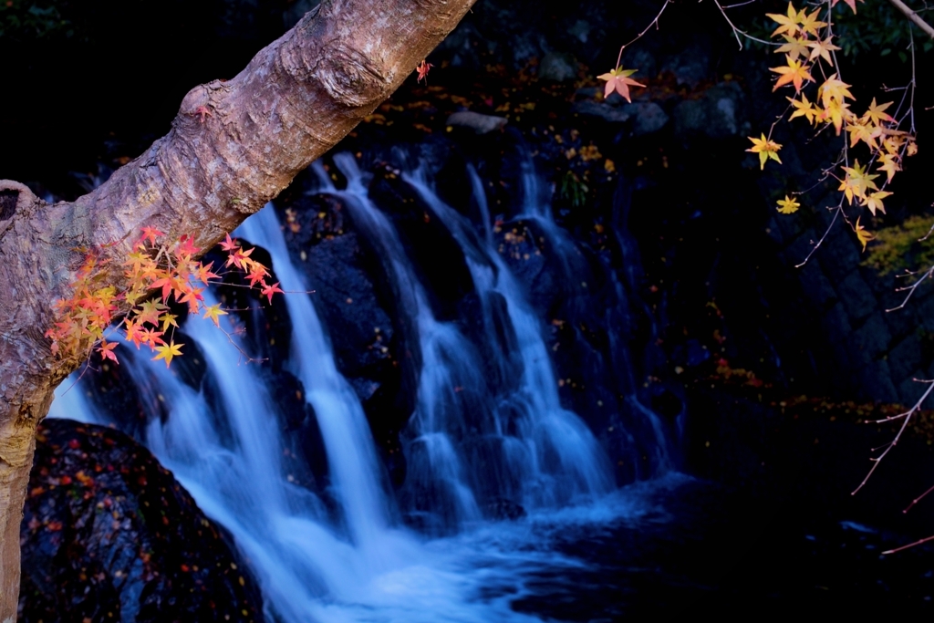 冬枯れの滝にて