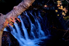 冬枯れの滝にて