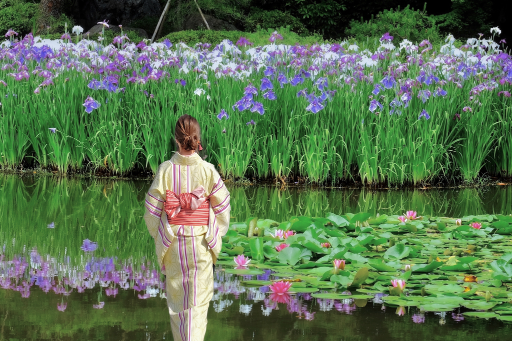 花菖蒲の咲く風景