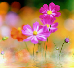 秋の蜃気楼