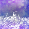 Dreaming Girl 