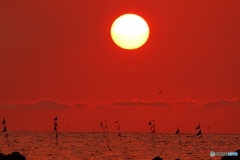 夕景　刺し網漁