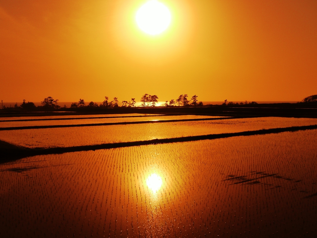海と田んぼの夕景