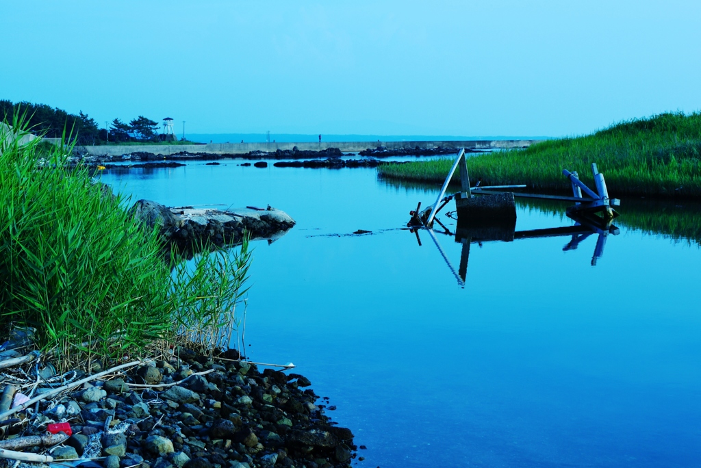夏の海　