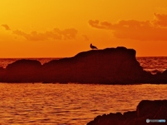 日本海　夕景