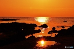 太陽が一杯・・・♪