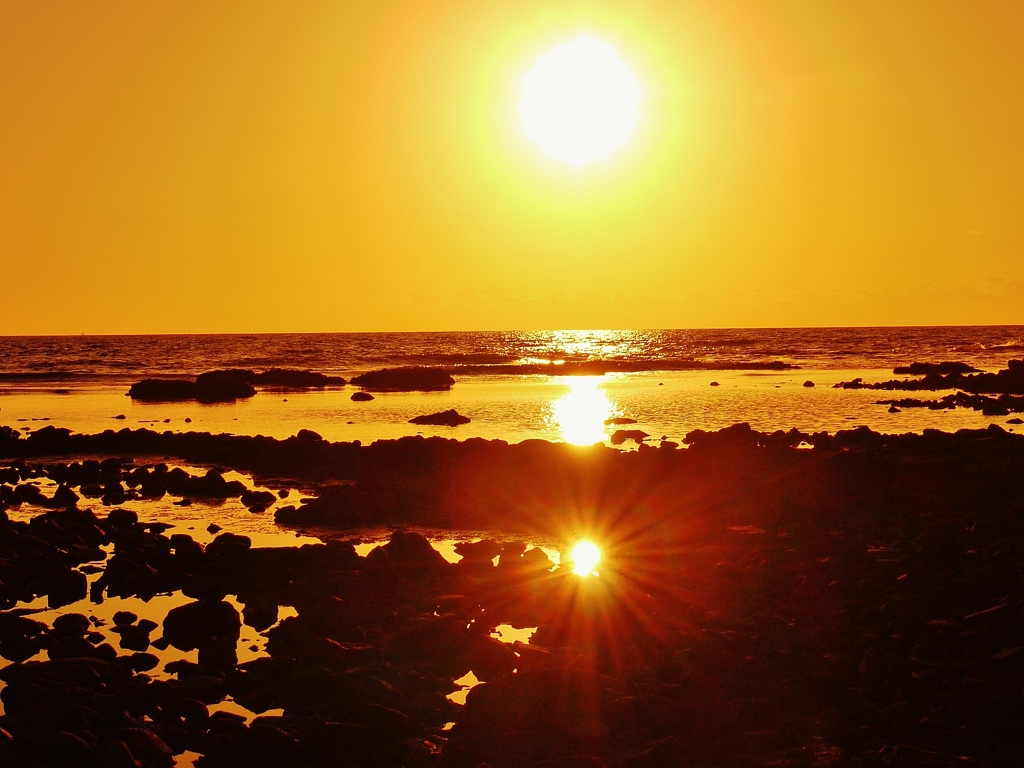 太陽が一杯・・・☀☀☀