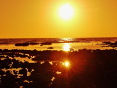 太陽が一杯・・・☀☀☀