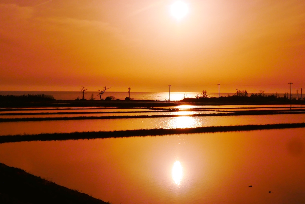 落陽　田んぼと網の夕景　　能登は百浦海岸