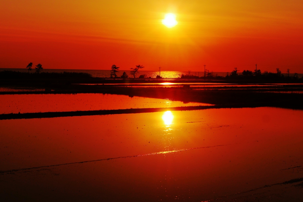 田んぼと日本海の夕景