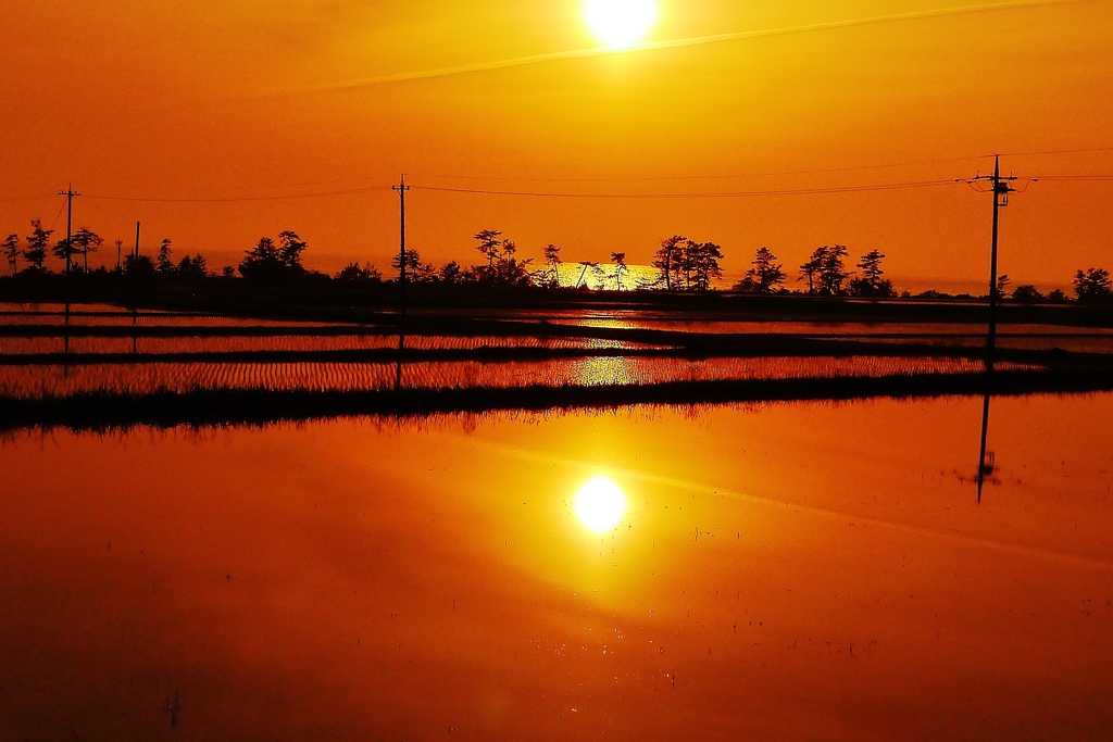 夕景　田んぼと海・・・・♪