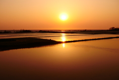 夕景　海と田んぼ　　能登志賀町上野海岸