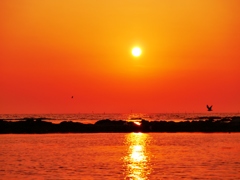 サンセット　初夏の日本海…♬