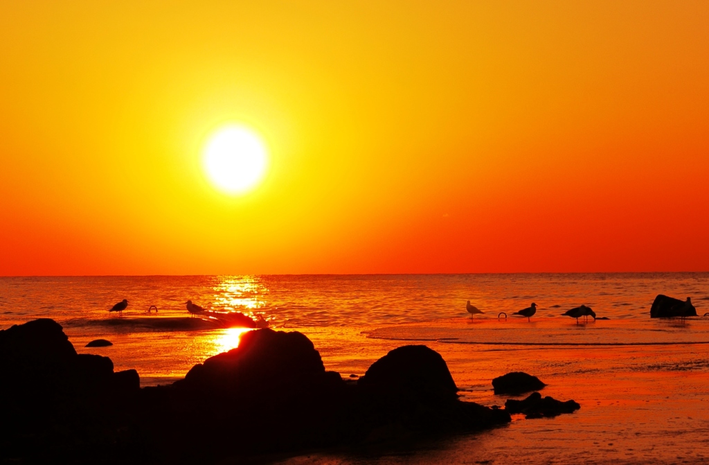一休み　　早春の能登の夕景