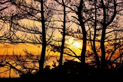 見越しの松　落陽　能登は赤住海岸