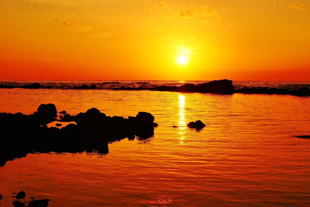 海の紅葉　能登は上野海岸