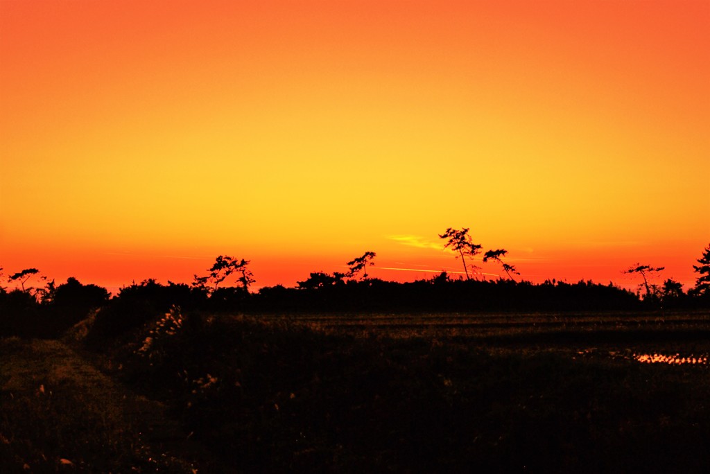 夕景