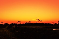 夕景
