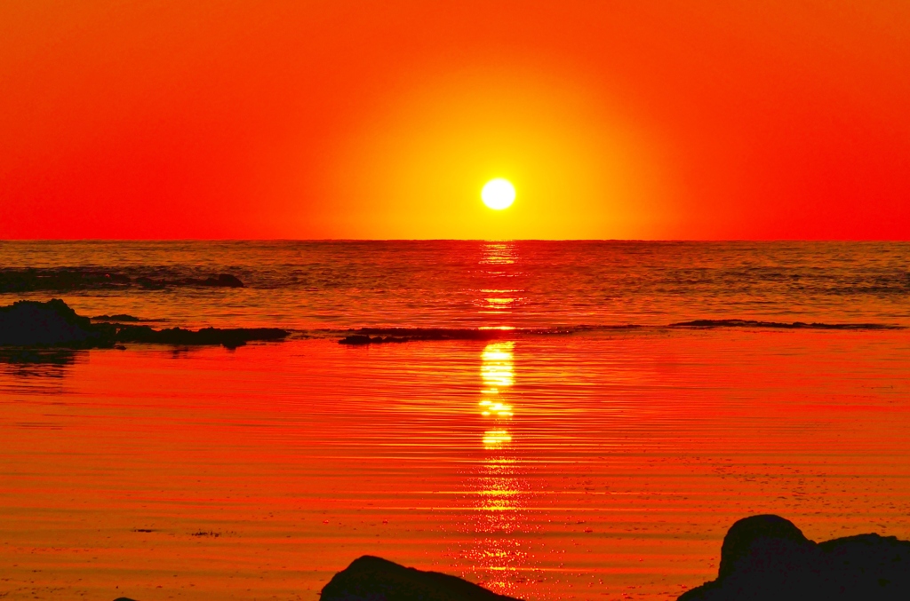 海の紅葉　能登は上野海岸