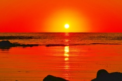 海の紅葉　能登は上野海岸