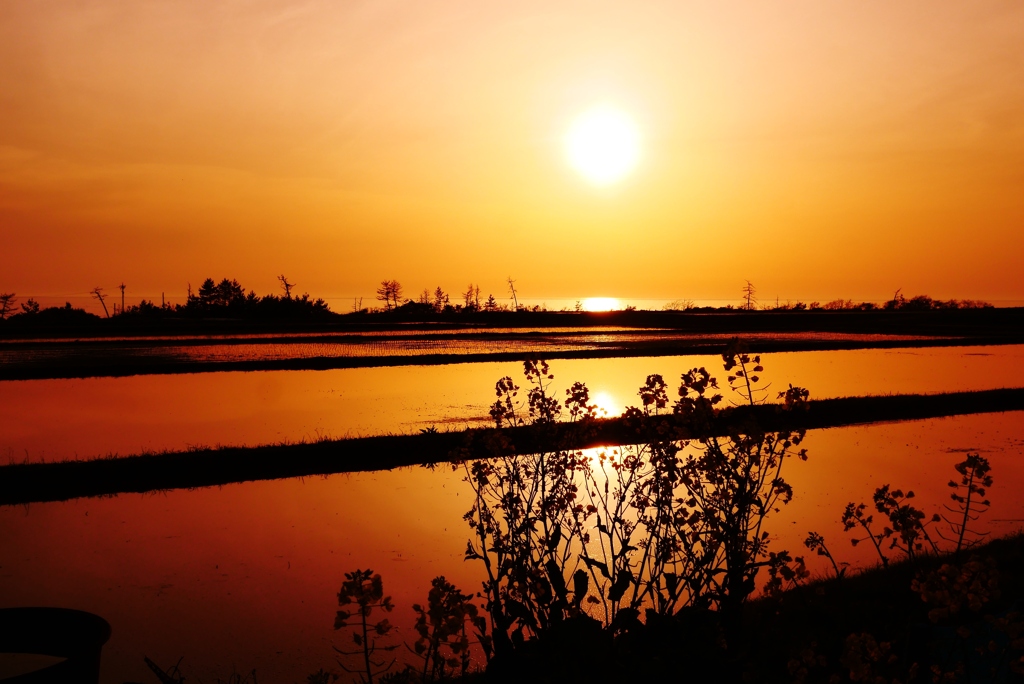 夕景　田んぼと能登は赤住海岸