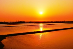 田んぼと海の夕景　能登