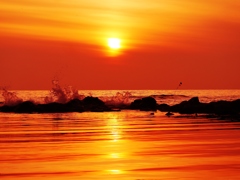 春の海
