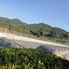 おぼろ大橋