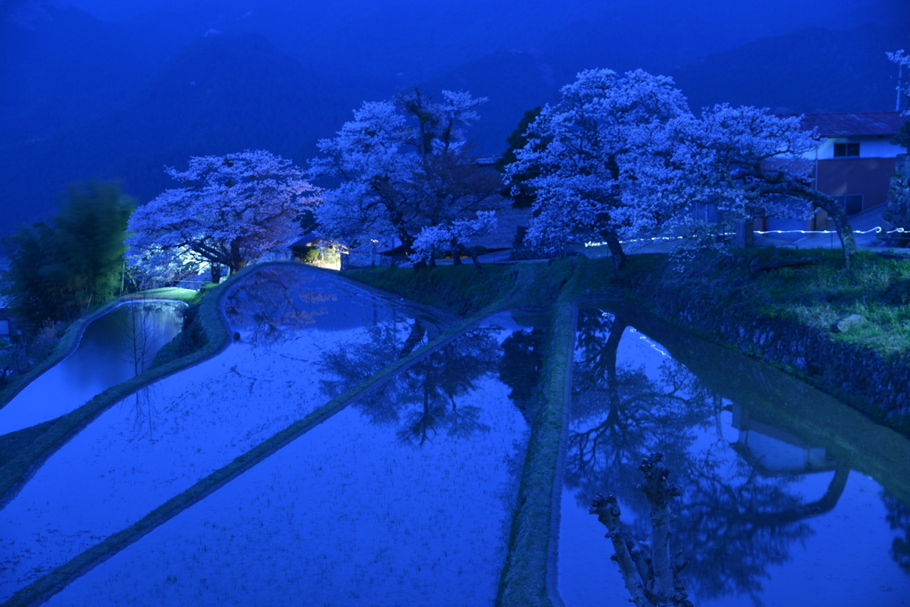 夜明け前の棚田
