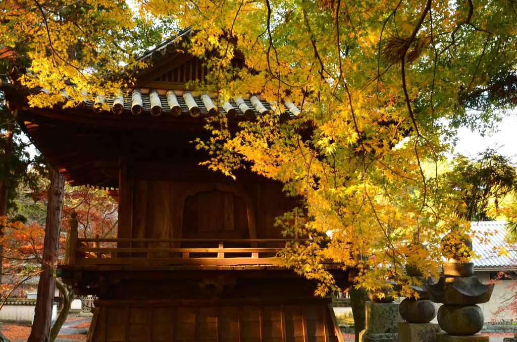 丈六寺の紅葉