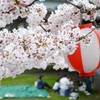 日本の春