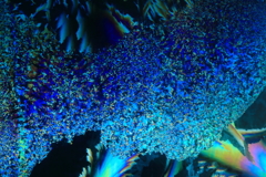 霜の華4
