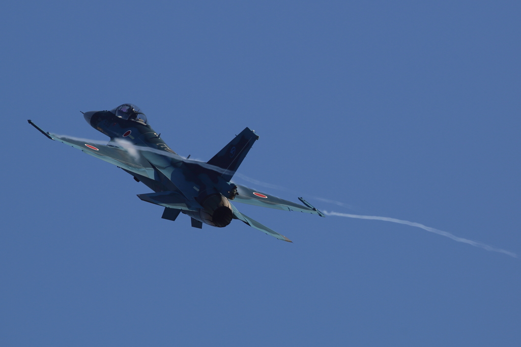 2013年岐阜基地航空祭2