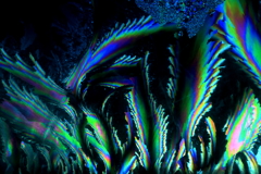 霜の華3