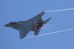 2013年岐阜基地航空祭3