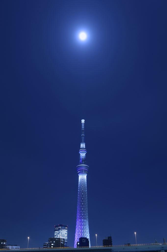 今年二回目のスカイツリー